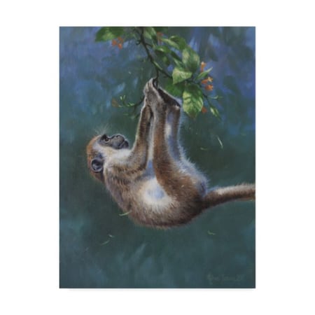 Trademark Fine Art Michael Jackson 'Hanging Monkey' Canvas Art